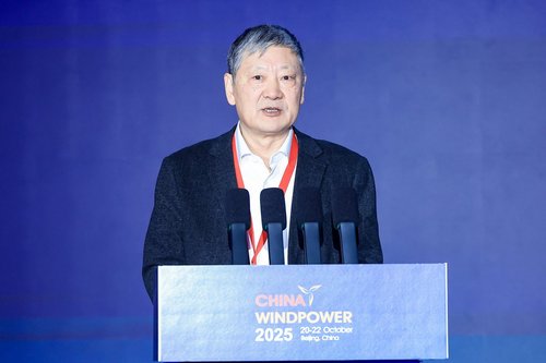 中国可再生能源学会风能专业委员会主任致辞.jpg
